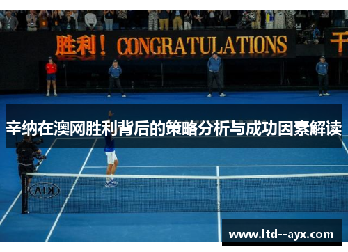 辛纳在澳网胜利背后的策略分析与成功因素解读